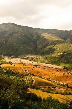 Clos Apalta Winery Chile