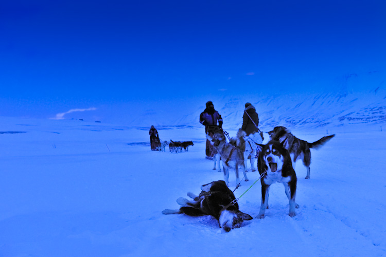 Spitsbergen Longyearbyen