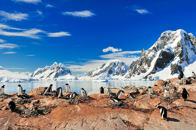 fly Antarctica and cruise