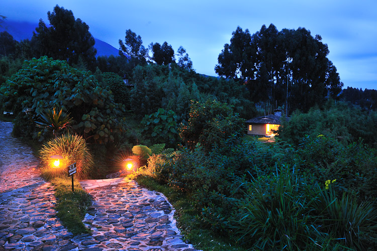 sabyinyo silverback lodge