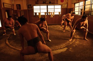 Sakaigawa Beya Sumo Stable Tokyo