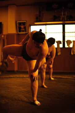 Sakaigawa Beya Sumo Stable Tokyo