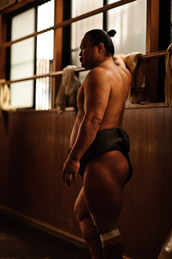 Sakaigawa Beya Sumo Stable Tokyo