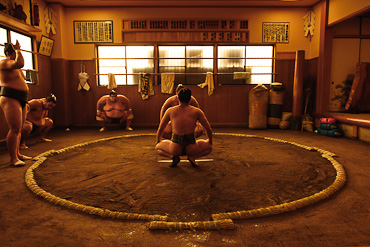 Sakaigawa Beya Sumo Stable Tokyo