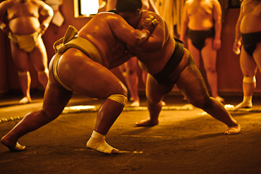 Sakaigawa Beya Sumo Stable Tokyo