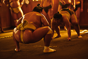 Sakaigawa Beya Sumo Stable Tokyo