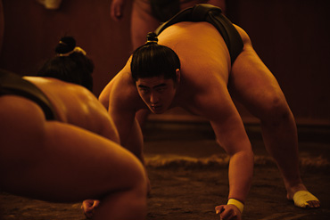 Sakaigawa Beya Sumo Stable Tokyo