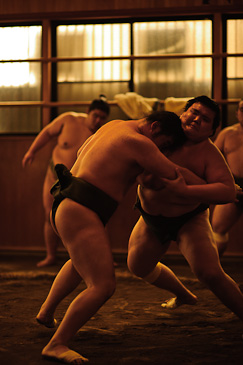 Sakaigawa Beya Sumo Stable Tokyo