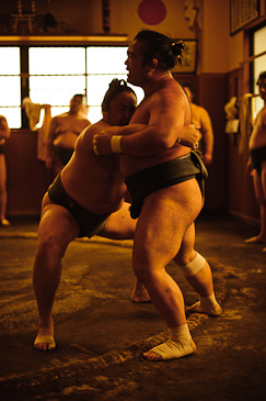 Sakaigawa Beya Sumo Stable Tokyo