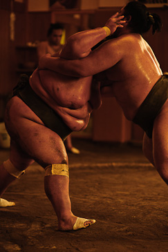 Sakaigawa Beya Sumo Stable Tokyo