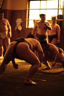 Sakaigawa Beya Sumo Stable Tokyo