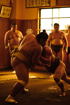 Sakaigawa Beya Sumo Stable Tokyo