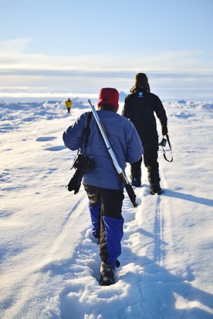 Walking Safari Arctic Canada Nunavut