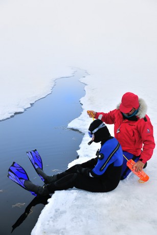 Bylot Island Nunavut Arctic Canada