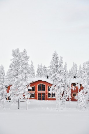 Pinetree Lodge Lapland