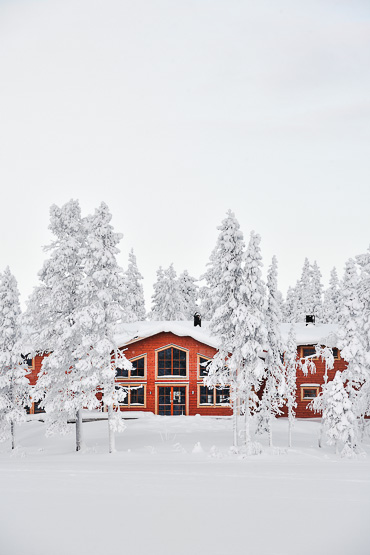 Pinetree Lodge Lapland