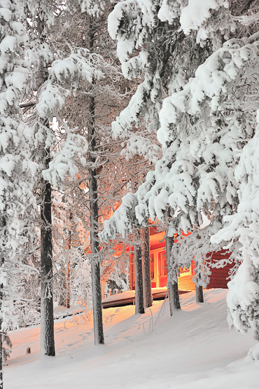 Pinetree Lodge Lapland