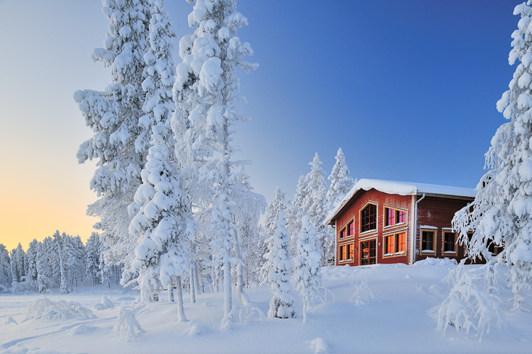 Pinetree Lodge Lapland