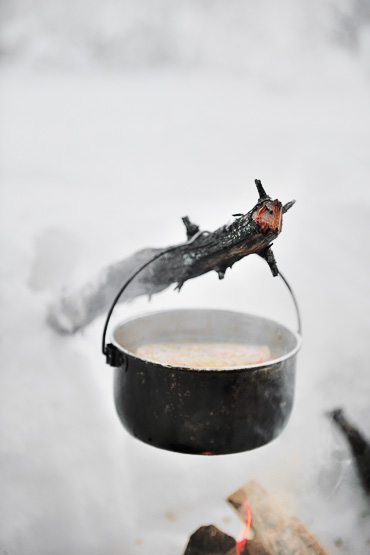 dog sledding in Lapland