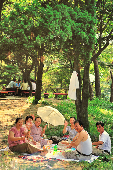 picnic in the park on liberation day