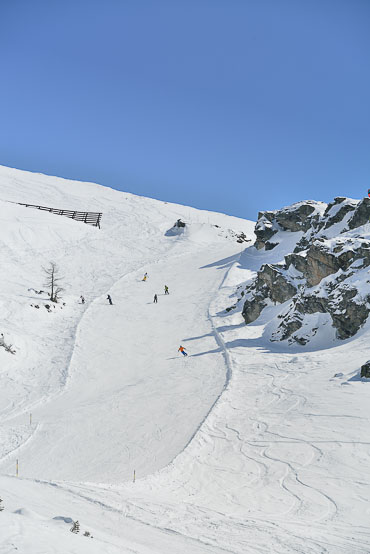 Haushirt – Salzburgerland, Austria